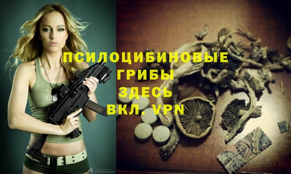 твердый Арсеньев