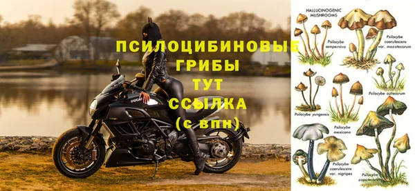 бошки Аркадак