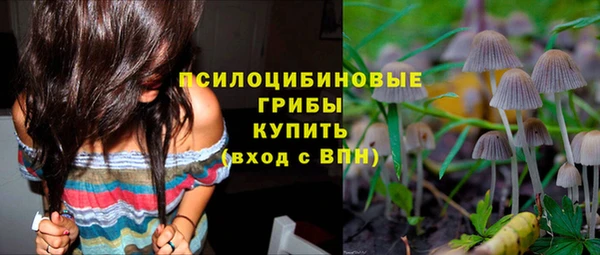 твердый Арсеньев