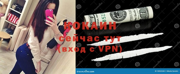 твердый Арсеньев