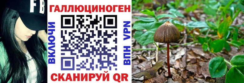 Псилоцибиновые грибы Psilocybine cubensis  где найти   Моздок 